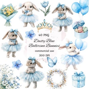 Aquarel ballerina konijntje clipart png bundel, bloemen konijntje clipart, konijntje ballerina babyshower, stoffige blauwe ballonnen, scrapbooking