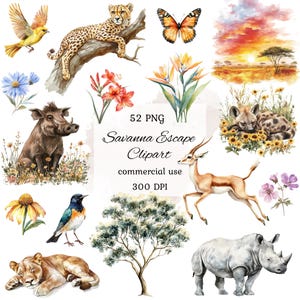Pacote de clipart png de animais de safári em aquarela, savana africana, chá de bebê de safári, animal selvagem da savana, clipart de vida selvagem, scrapbooking