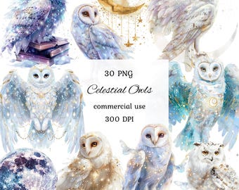 Celestial owl watercolor clipart png bundle, snow owl clipart, mystical celestial clipart, fantasy owl, whimsical owl, scrapbooking