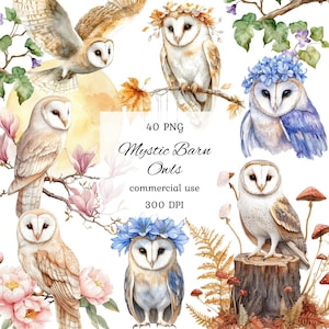 Bundle aquarelle de chouette effraie des cloches clipart png, aquarelle de chouette effraie des clochers, impression de chouette effraie des clochers, clipart des bois, clipart de conte de fées, animaux de la forêt