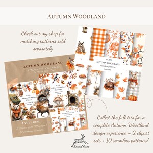 May include: An image showcasing an "Autumn Woodland" themed clipart and seamless patterns set. The set includes 2 clipart sets with 77 images and 10 seamless patterns. The design features fall-themed illustrations of animals, leaves, and pumpkins.