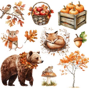 May include: Watercolor illustrations of autumn elements, including a basket of apples, pumpkins in a wooden crate, a sleeping fox, a bear with a leaf garland, a mouse with a scarf, and a frog on a mushroom.