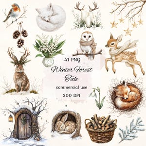 Winter bos dieren clipart png bundel, winter clipart, boho bos aquarel clipart, bos kerst clipart, commercieel gebruik