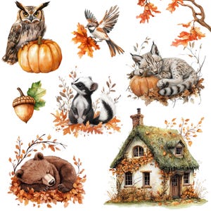 May include: Watercolor illustration featuring an owl perched on a pumpkin, a bird with autumn leaves, a sleeping bobcat on a pumpkin, a badger, a sleeping bear, an acorn, and a cottage. The artwork has a fall theme with warm colors.