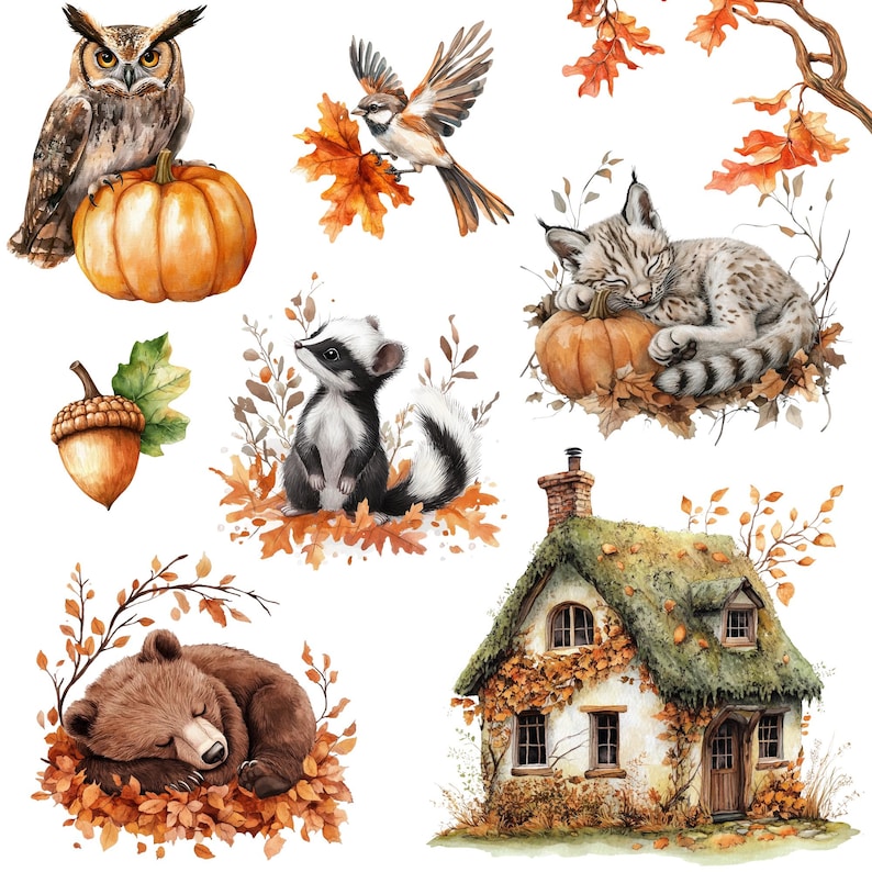 May include: Watercolor illustration featuring an owl perched on a pumpkin, a bird with autumn leaves, a sleeping bobcat on a pumpkin, a badger, a sleeping bear, an acorn, and a cottage. The artwork has a fall theme with warm colors.