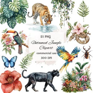 Watercolor jungle animals clipart png bundle, jungle clipart, cute jungle animals, jungle leaves clipart, jungle nursery, scrapbooking