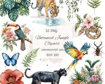 Watercolor jungle animals clipart png bundle, jungle clipart, cute jungle animals, jungle leaves clipart, jungle nursery, scrapbooking
