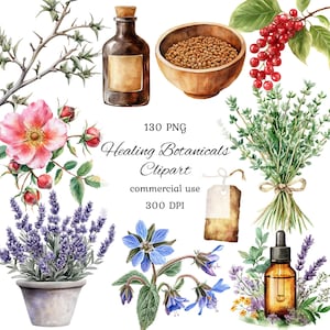 Pacote de clipart png de ervas medicinais em aquarela, clipart de ervas em aquarela, clipart de ervas botânicas, cogumelo medicinal, boticário de ervas