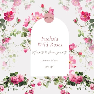 Könnte beinhalten: Aquarellillustration mit fuchsiafarbenen Wildrosen mit grünen Blättern und Stielen. Das Bild enthält den Text "Fuchsia Wild Roses, Elements & Arrangements, commercial use, 300 dpi". Ein rosa Kreis zeigt "40 png".
