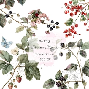 Bessen aquarel clipart png bundel, zomerbessen, bessen bloemen, wilde bessen clipart, ai graphics, commercieel gebruik, scrapbooking