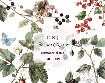 Bessen aquarel clipart png bundel, zomerbessen, bessen bloemen, wilde bessen clipart, ai graphics, commercieel gebruik, scrapbooking