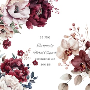 Bourgondische bloemen aquarel clipart png bundel, bordeaux en blozen, boho bloemen clipart, bruiloft clipart, commercieel gebruik
