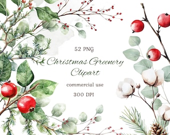 May include: Watercolor illustration of Christmas greenery. The image features sprigs of green leaves, red berries, and cotton bolls. The text reads "52 PNG Christmas Greenery Clipart commercial use 300 DPI".