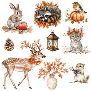 May include: Watercolor illustrations of autumn animals and objects. A rabbit holds a wooden slice, a raccoon sleeps in leaves, and a bird sits on a pumpkin. A deer, a lantern, a kitten, a vase, a pinecone, and a squirrel are also depicted.