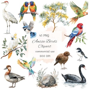 Bundle png aquarelle oiseaux australiens clipart, clipart animaux australiens, faune australienne, clipart kookaburra, cacatoès, scrapbooking