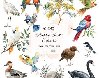 May include: A set of 41 watercolor illustrations of Australian birds, including a black swan, a kookaburra, a lorikeet, a cockatoo, and a kingfisher. The illustrations are in a digital format and are perfect for crafting projects, scrapbooking, and other creative endeavors.