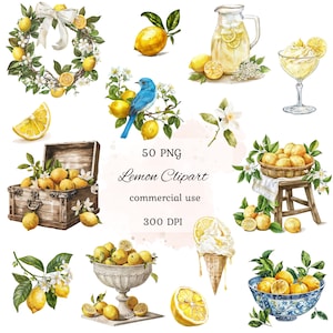 Lemon watercolor clipart png bundle, lemon png, summer clipart, lemon illustration, citrus clipart, commercial use, ai graphic, scrapbooking