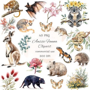 Paquete de imágenes prediseñadas de animales australianos en acuarela, imágenes prediseñadas de animales lindos, animales australianos, koala, canguro, equidna, emú, álbum de recortes