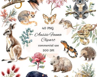 Akvarell australiska djur clipart png-paket, söta djur clipart, australiska djur, koala, känguru, myrpiggsvin, emu, scrapbooking