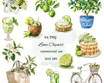 Limoen aquarel clipart png bundel, zomer clipart, fruit clipart, citrus clipart, zomerfruit, commercieel gebruik, ai graphic, scrapbooking