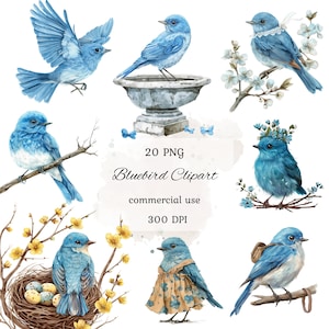Paquete de imágenes prediseñadas de acuarela de pájaro azul, arte infantil, lindo pájaro azul, gráficos de IA, uso comercial, álbumes de recortes, creación de tarjetas