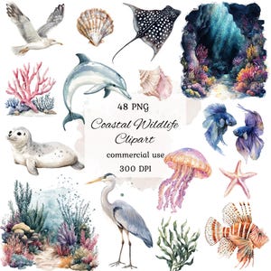 Pacote de clipart png de animais do oceano em aquarela, clipart de oceano em aquarela, clipart de animais marinhos, clipart subaquático, criaturas marinhas, scrapbooking
