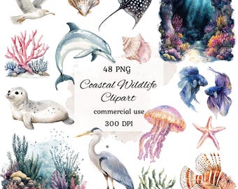 Watercolor ocean animals clipart png bundle, watercolor ocean clipart, sea animals clipart, underwater clipart, sea creatures, scrapbooking