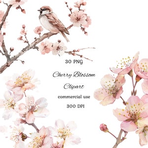 Kersenbloesem aquarel clipart png bundel, lente clipart, roze bloemen clipart, sakura bloem, bloemen frames, commercieel gebruik