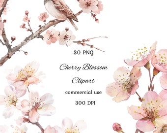 Cherry blossom watercolor clipart png bundle, spring clipart, pink flowers clipart, sakura flower, floral frames, commercial use