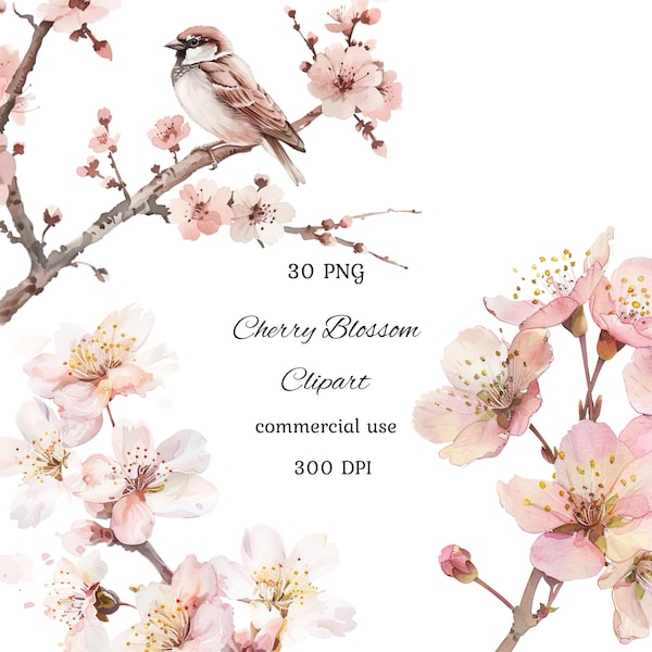 Cherry blossom watercolor clipart png bundle, spring clipart, pink flowers clipart, sakura flower, floral frames, commercial use