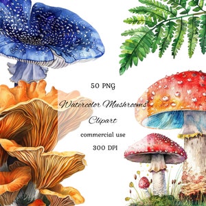 May include: A set of 50 watercolor mushroom illustrations, perfect for adding a touch of nature to your designs. The mushrooms are in various colors, including red, orange, blue, and green. The illustrations are high-resolution and perfect for commercial use.
