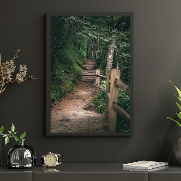 Appalachian Trail Landscape - Digital Download - Photography/Prints