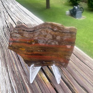 Nevada Caldera Paint Jasper (rough, unpolished, specimen, lapidary)