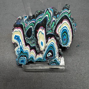 May include: A colorful, layered mineral specimen with bands of black, blue, green, white, and pink. The rock is displayed on a clear plastic stand against a gray background. The mineral's unique patterns and vibrant colors are highlighted.