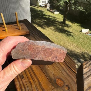 Dinosaur Bone