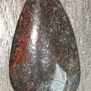 Gem Bone - Dinosaur Bone (cabochon)