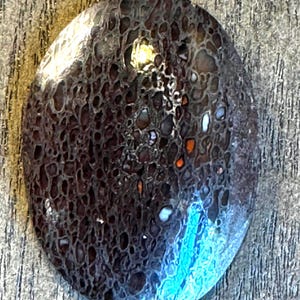 Gem Bone - Dinosaur Bone (cabochon)