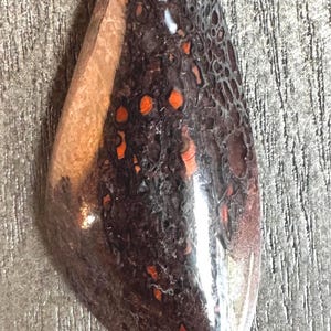 Gem Bone - Dinosaur Bone (cabochon)