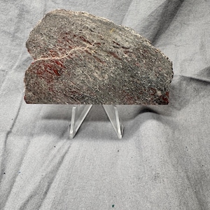 Gem Bone - Dinosaur Bone Slab
