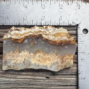 Puede incluir: Una piedra de ágata pulida, con una mezcla de colores grises, marrones y crema. La piedra tiene forma irregular y mide aproximadamente 13 cm de largo. La ágata tiene una apariencia en capas con vetas y patrones intrincados visibles. Una regla de metal está colocada junto a la piedra.