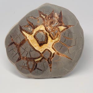 Septarian Polished Specimen