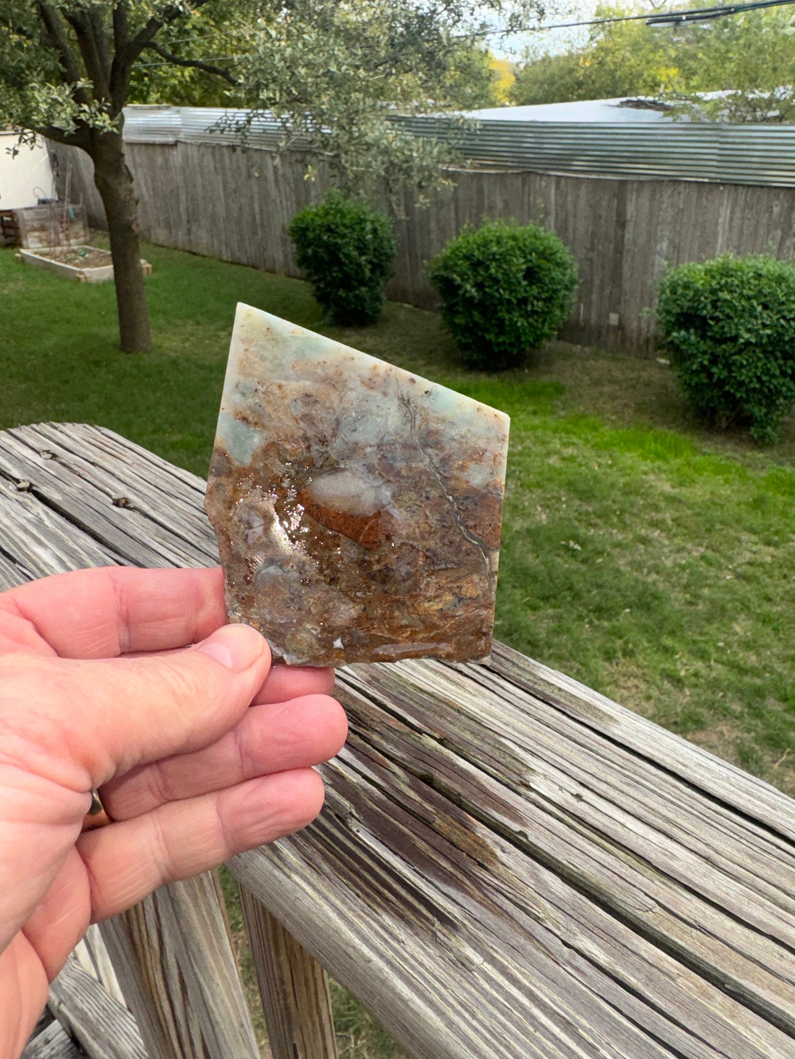 BC Ocean Picture Stone Canada rough, Unpolished, Specimen Etsy