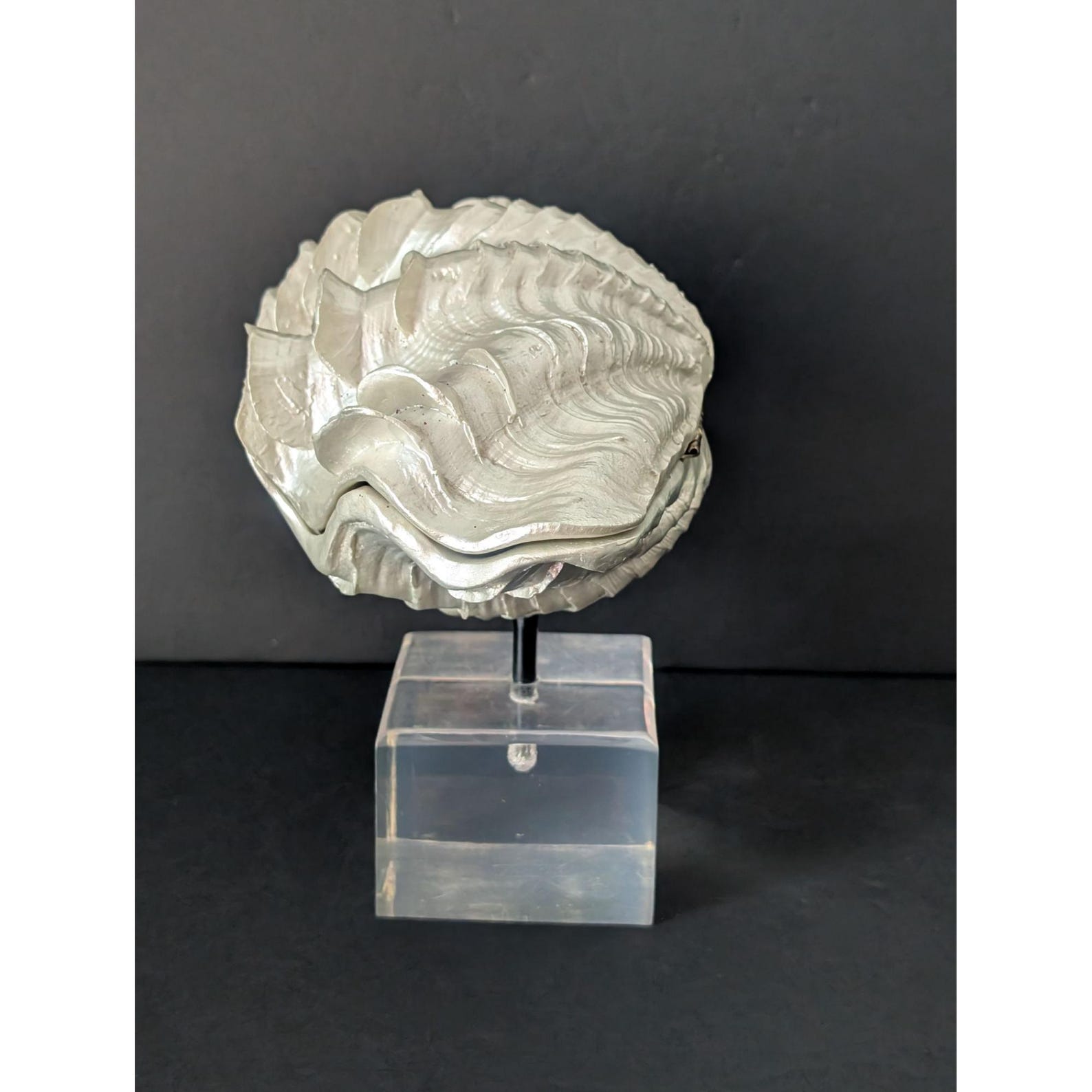 Vintage Faux Tridacna Clam Seashell Sculpture Hinged Box on Lucite Cube ...