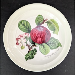 Portmeirion Pomona 7 1/2&quot; Teller Hoary Morning Apple, hergestellt in England