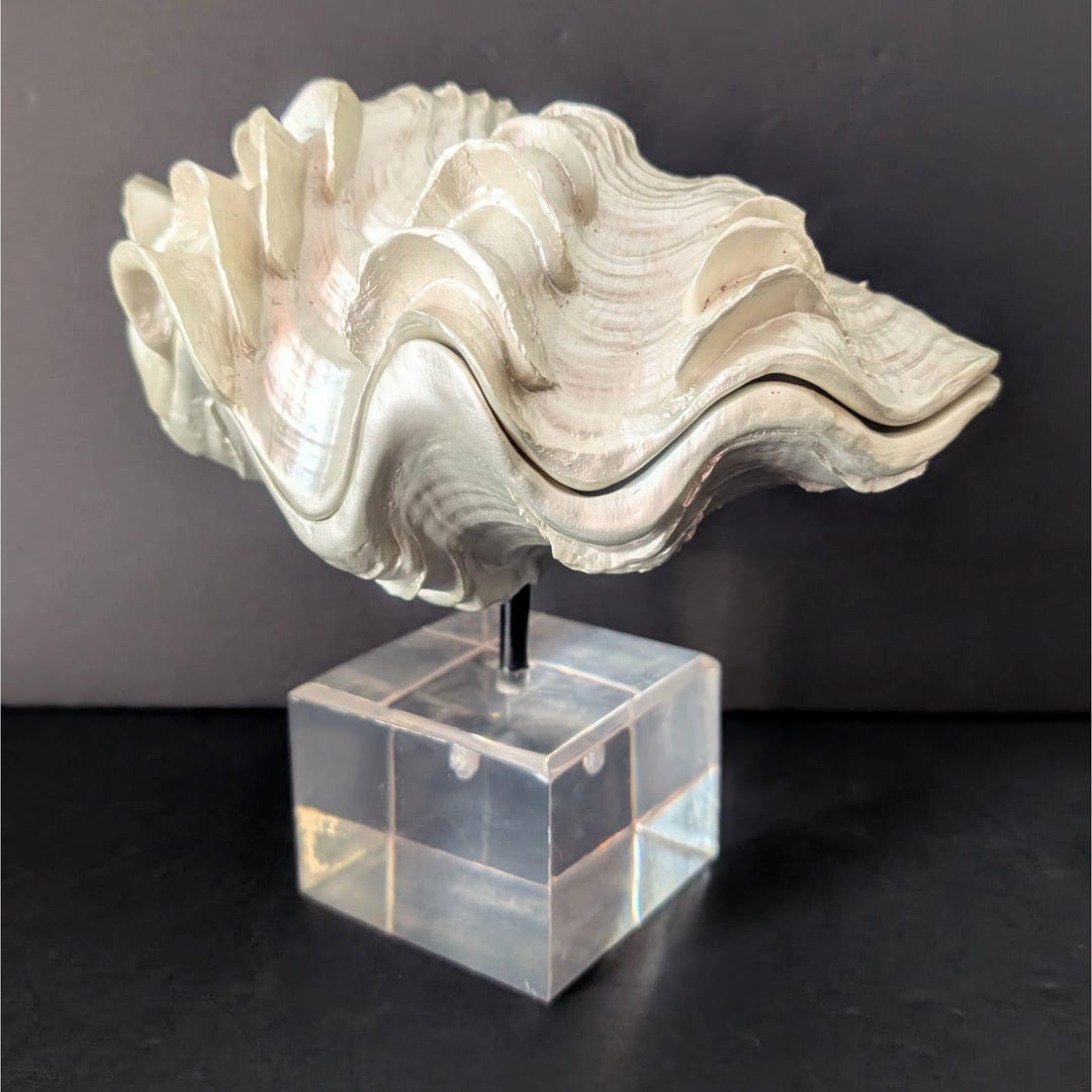 Vintage Faux Tridacna Clam Seashell Sculpture Hinged Box on Lucite Cube ...