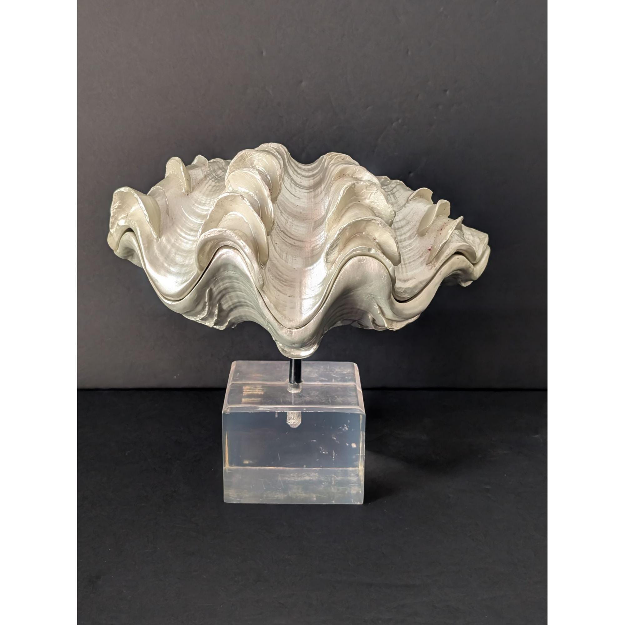 Vintage Faux Tridacna Clam Seashell Sculpture Hinged Box on Lucite Cube ...