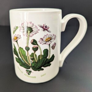 Portmeirion Botanic Garden Kaffeetasse Becher Bellis Perennis Gänseblümchen Blumen Insekt