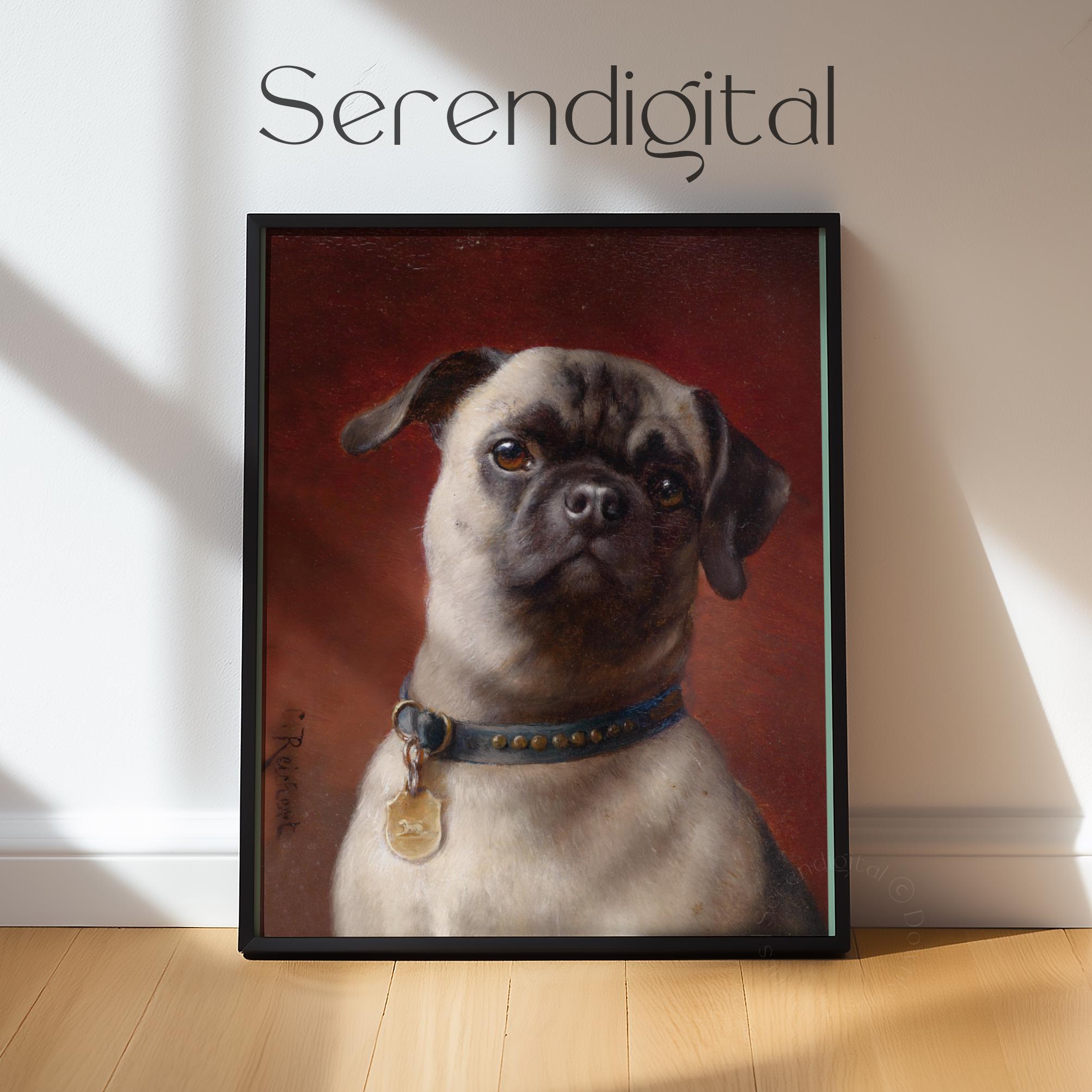 🐾❤️ Michael Fuchs hat einen Hund aus dem Tierschutz aufgenommen 🏠. Doch  der Vierbeiner ist ausgebüxt 🐕. Die Polizei inklusive Hundestaffel 🚓🐕\u200d🦺  half schließlich bei der Suche 🔍❤️. Tierschutzhunde benötigen eine  besonders, image size:2006x2006