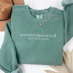 Overstimulated Comfort Color Sweatshirt for Mom, Cowboy Frog Unhinged Sweater, Funny Mental Health Crewneck, Weirdcore Gen Z Anxiety Sweater