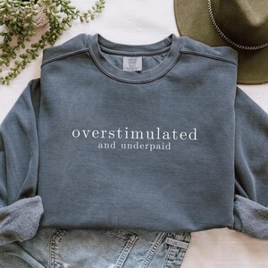 Overstimulated Comfort Color Sweatshirt for Mom, Cowboy Frog Unhinged Sweater, Funny Mental Health Crewneck, Weirdcore Gen Z Anxiety Sweater